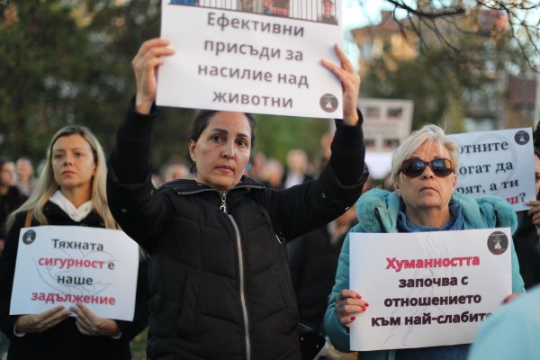 Снимка: Димитър Кьосемарлиев, Dnes.bg